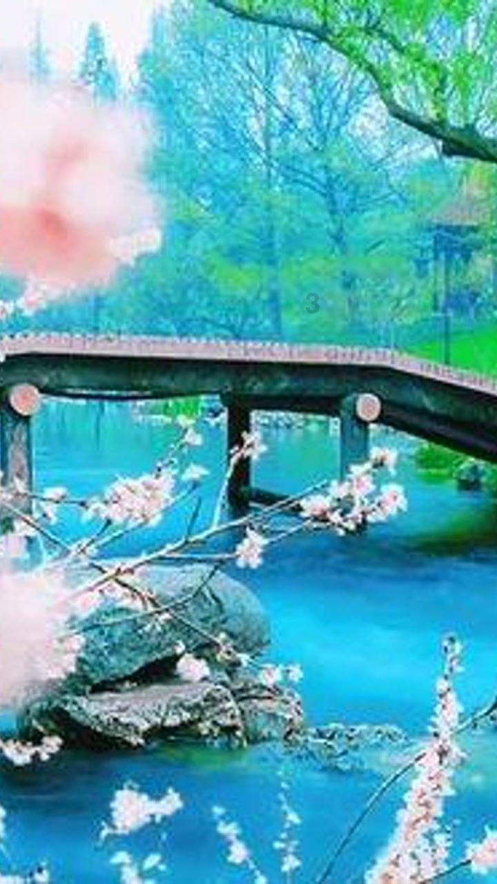 《烈焰繁花少女时》：究竟什么样的女性才能够闪闪发光？